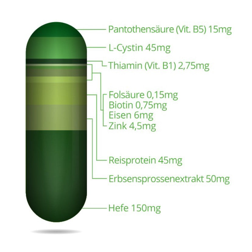 [리뉴얼] 독일내수용 판토비가 180캅셀 3개월분 추가옵션 - 판토가샴푸